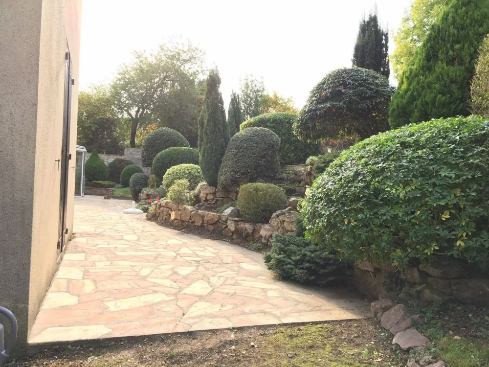 tailles d'arbres et arbustes